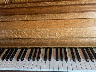 Musikinstrumente: Piano Rippen, Modell "largo", Eiche rustikal massiv – Gebraucht aus Schönenberg ZH von Bosh 5