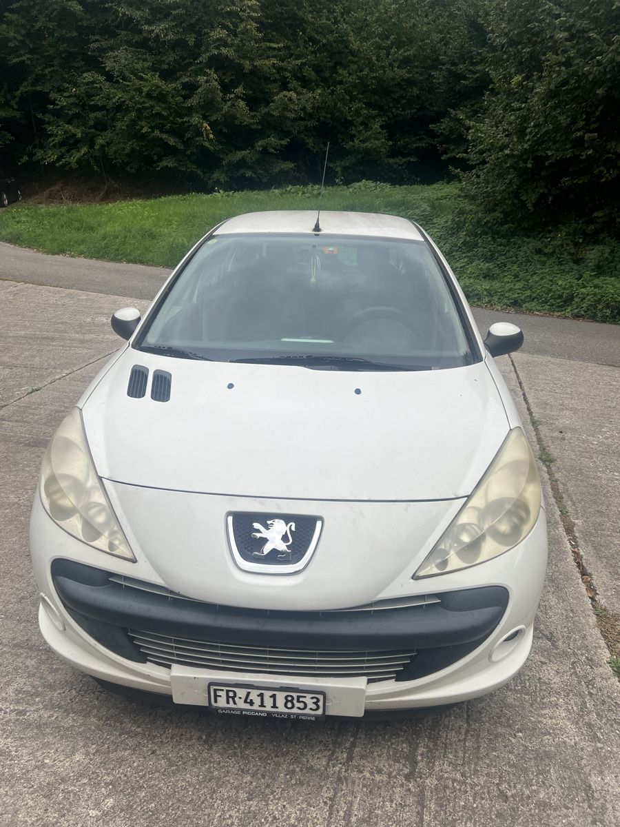 Peugeot Automobili: Peugeut 206+ 1.4  – Usato da Cournillens venduto da gil_v5nb