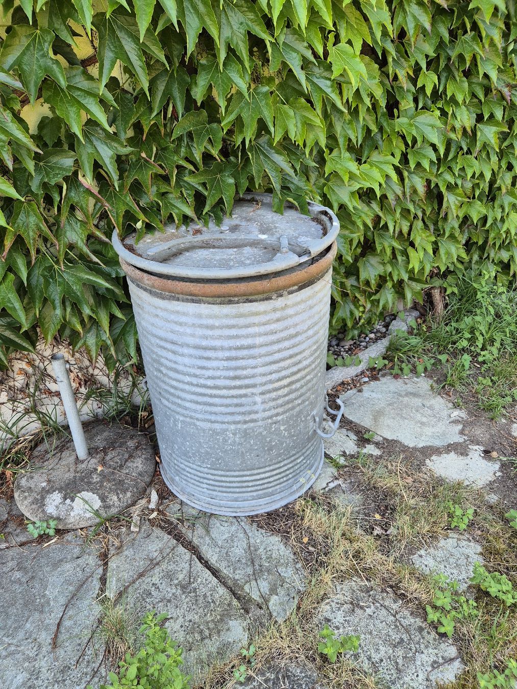 Annaffiatura & Irrigazione: Zinkfass mit Deckel und Henkeln, gebraucht – Usato da Lotzwil venduto da Mfl1