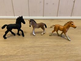 Schleich Fohlen 3er Set