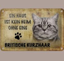 🔥 BRITISCH KURZHAAR KATZE Blechschild 💛 12x18cm OVP 🔥