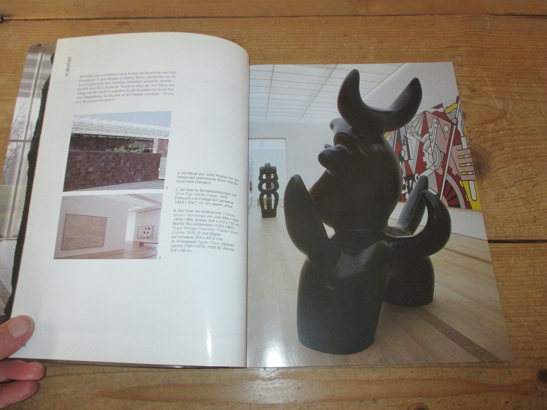 Libri: Fondation Beyeler Sondernummer Nr. 120 – Usato da Flims - Dorf venduto da Stagediver 2