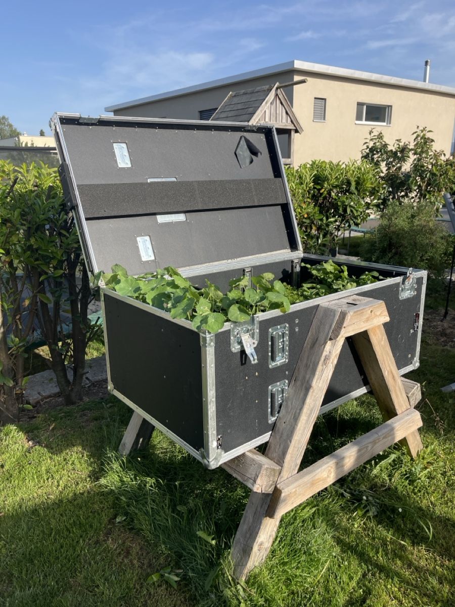 Vasi per fiori: Hochbeet selbst gebaut  – Usato da Rickenbach LU venduto da Haefliger03