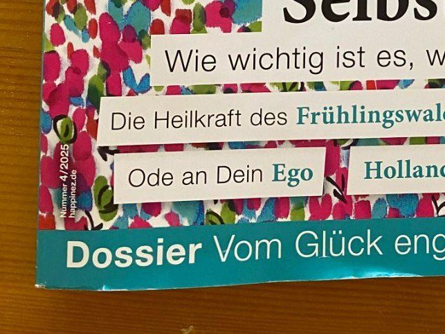 Riviste & Magazine: MAGAZIN HEFT HAPPINEZ – Usato da Meienried venduto da ManuelaBoutique 2