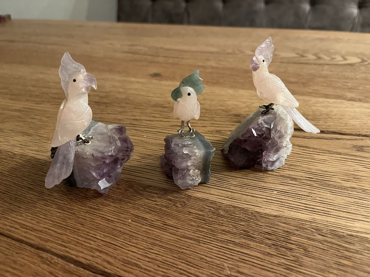 Tutte le decorazioni: Kakadu  Amethyst – Nuovo (secondo la descrizione) da Schliern b. Köniz venduto da medion3098