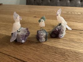 Kakadu  Amethyst