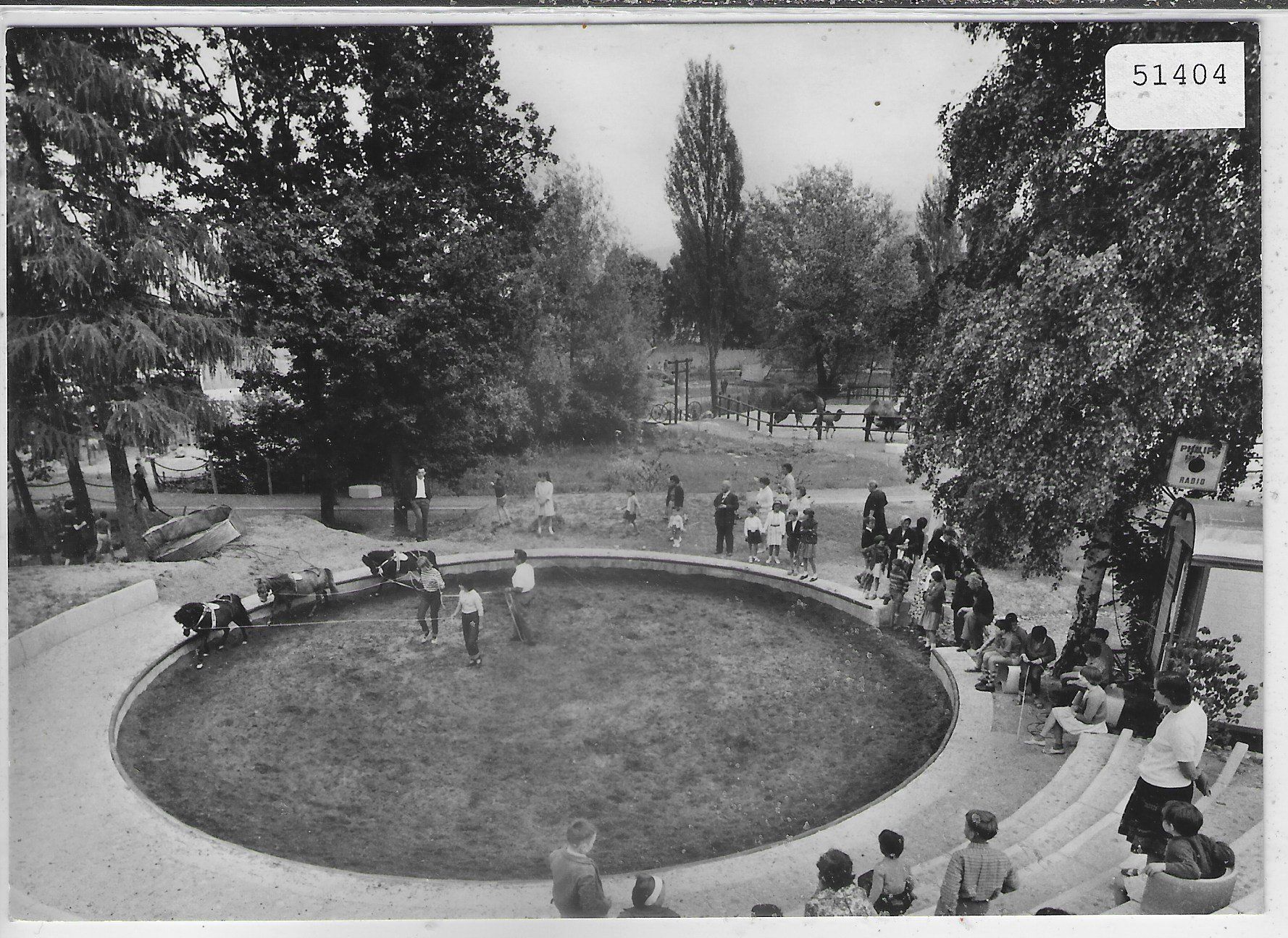 Cartoline postali: Knie's Kinderzoo - Rapperswil – Usato da Ettingen venduto da Kartenplanet