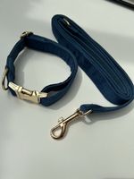 NEU❣️Hundehalsband und Leine Samt, royalblau