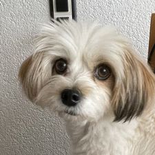 Profile image of ketchow