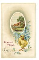 Fröhliche Osten - Joyeuses Pâques - Küken - Präge-Litho 1912