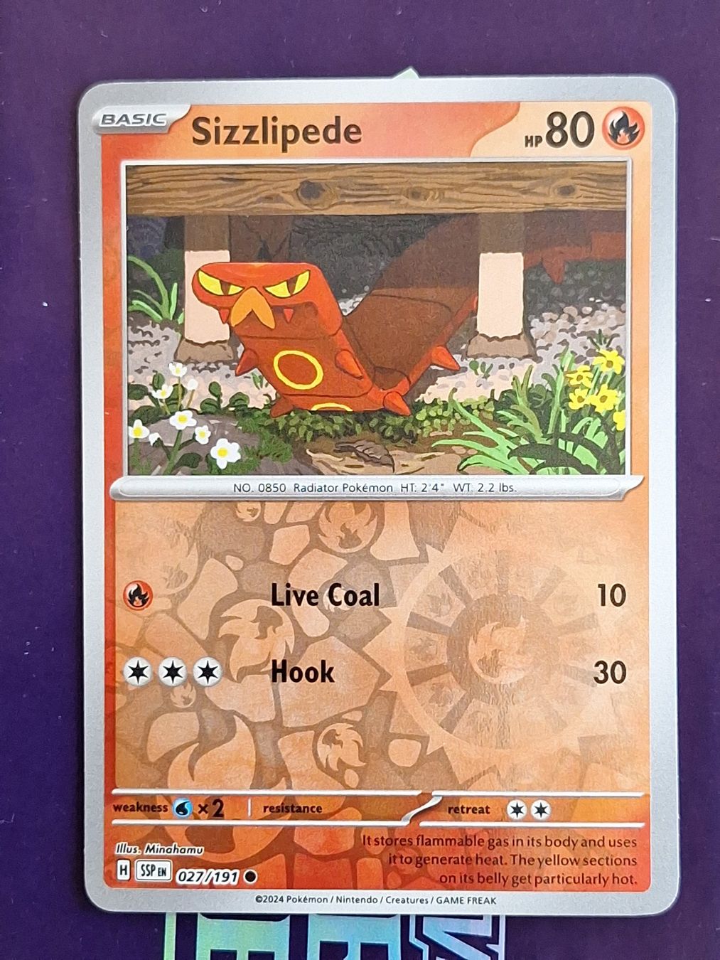 Pokémon Carte collezionabili: Sizzlipede - Reverse Holo - Pokemon Surging Sparks – Usato da Altstätten SG venduto da GGsGameshop