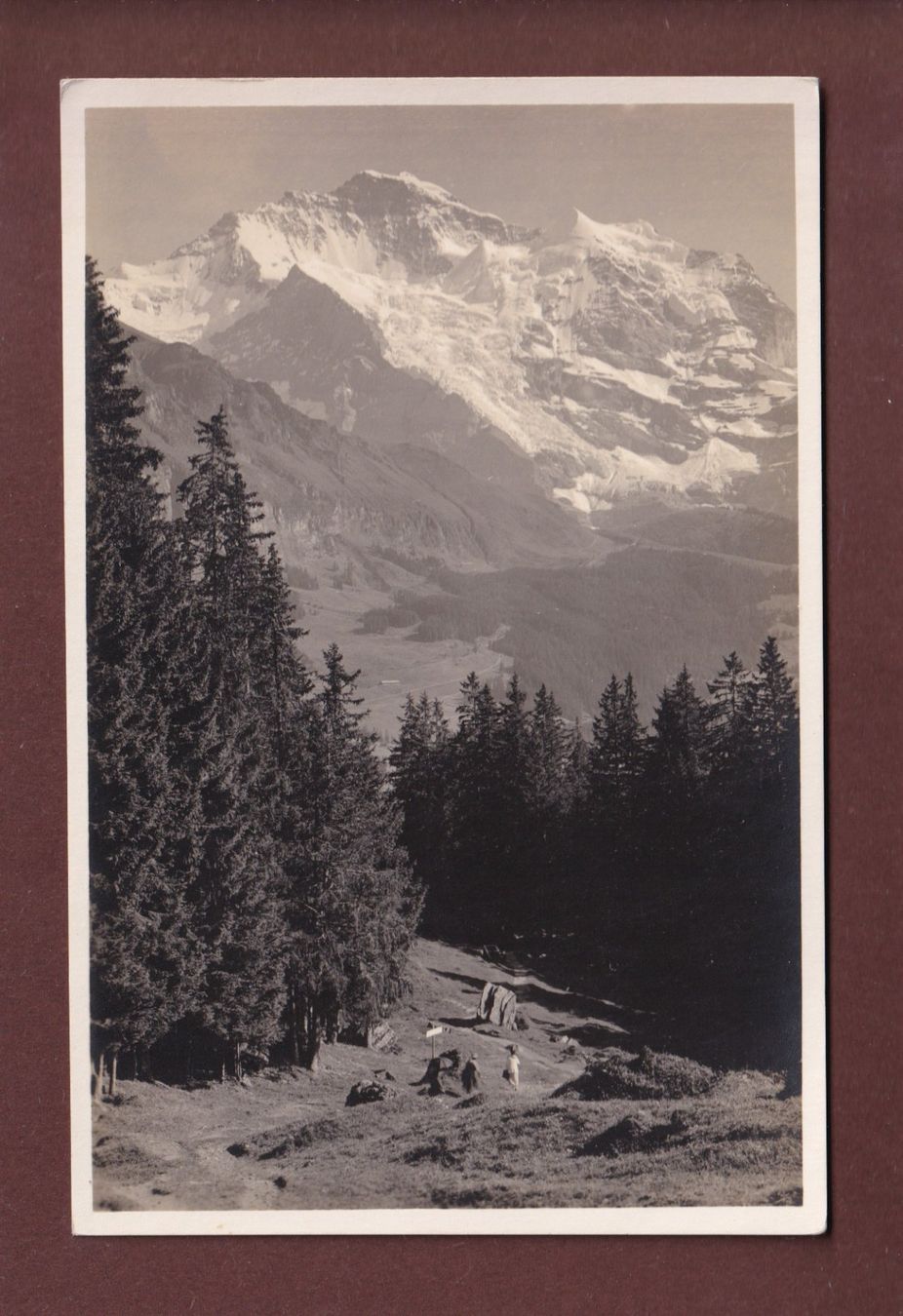 Cartoline postali: Wengen STEINENWALD - Jungfrau – Usato da Pully venduto da nicecards