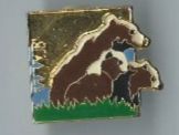 Bären Pin