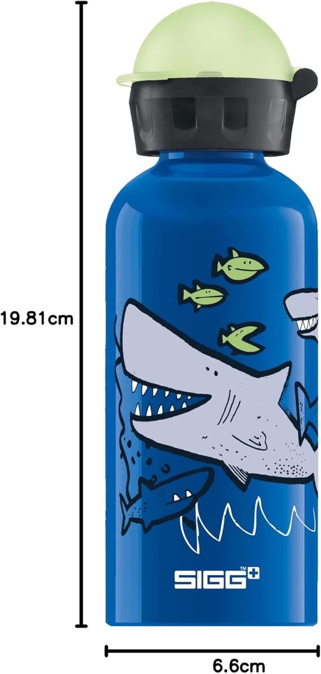 Sigg Gourdes & Thermos: SIGG Trinkflasche Alu 3dl oder 4dl - Auswahl – Neuf avec emballage d'origine à Kägiswil par nick333 6