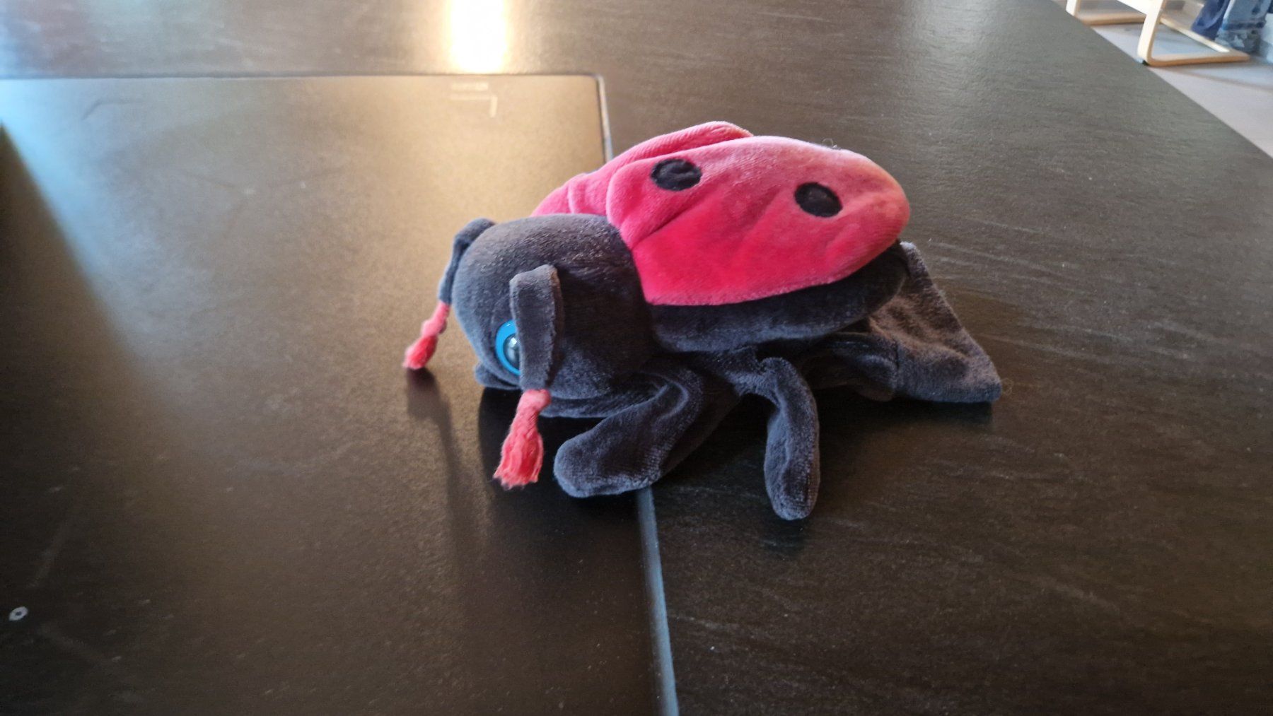 Giochi: Handpuppe Marienkäfer – Usato da Linthal venduto da nat_gp2j
