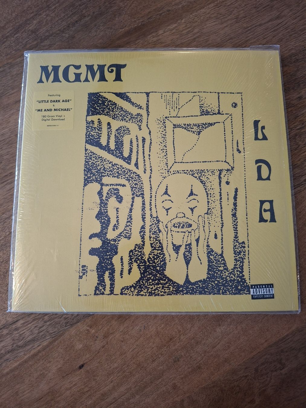 Dischi in vinile: MGMT - Little Dark Age - LP – Usato da LAUSANNE venduto da DESH3
