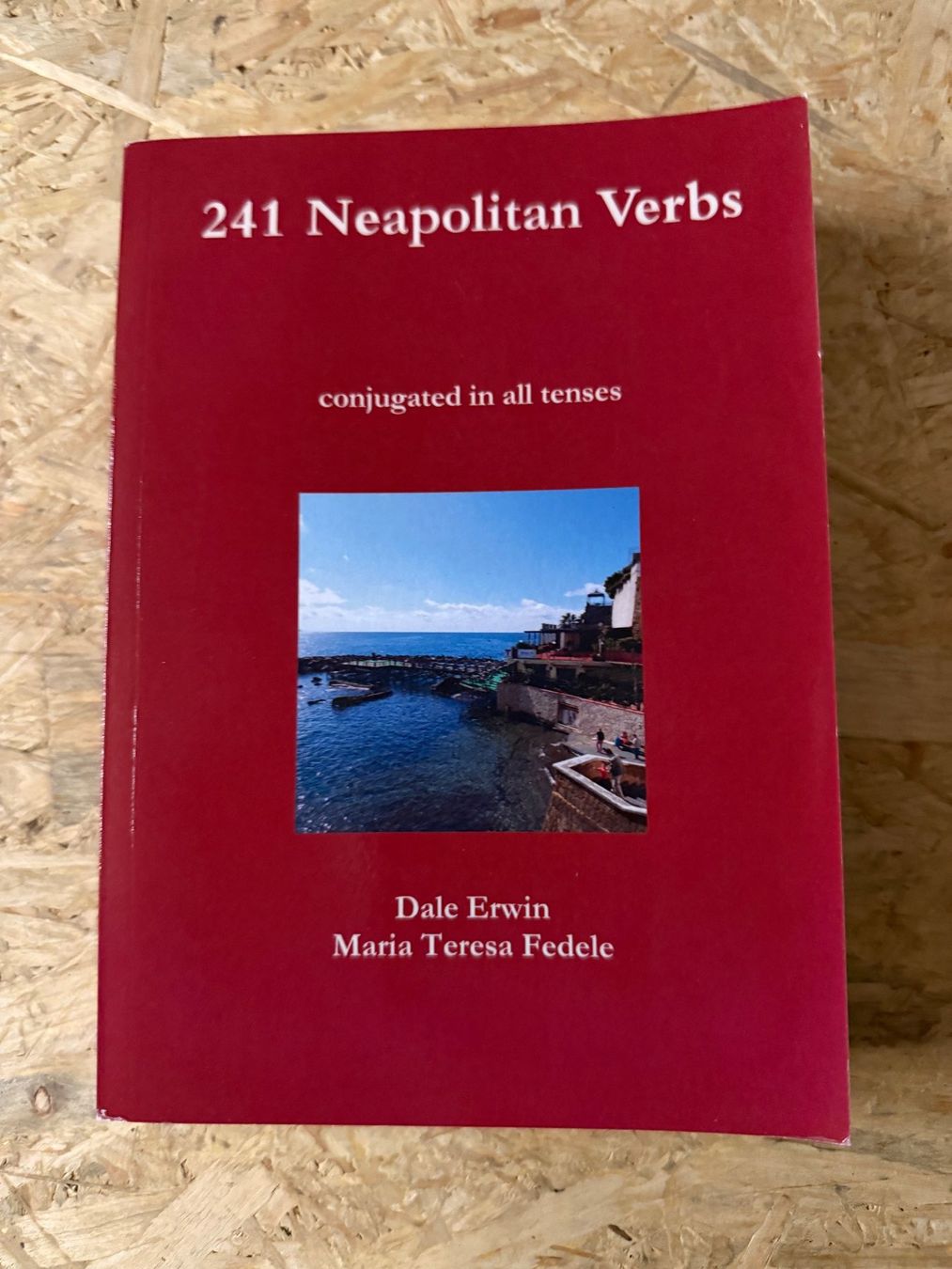 Libri: 241 Neapolitan verbs – Usato da Goldingen venduto da books4bucks