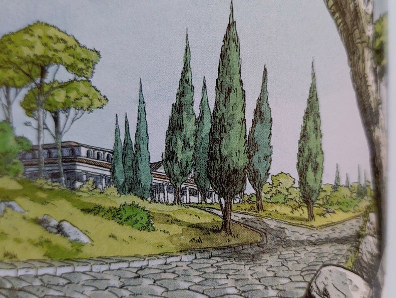 Fumetti: Murena  Vol.1  T.B.E. – Usato da Genève venduto da Blu_BD 3