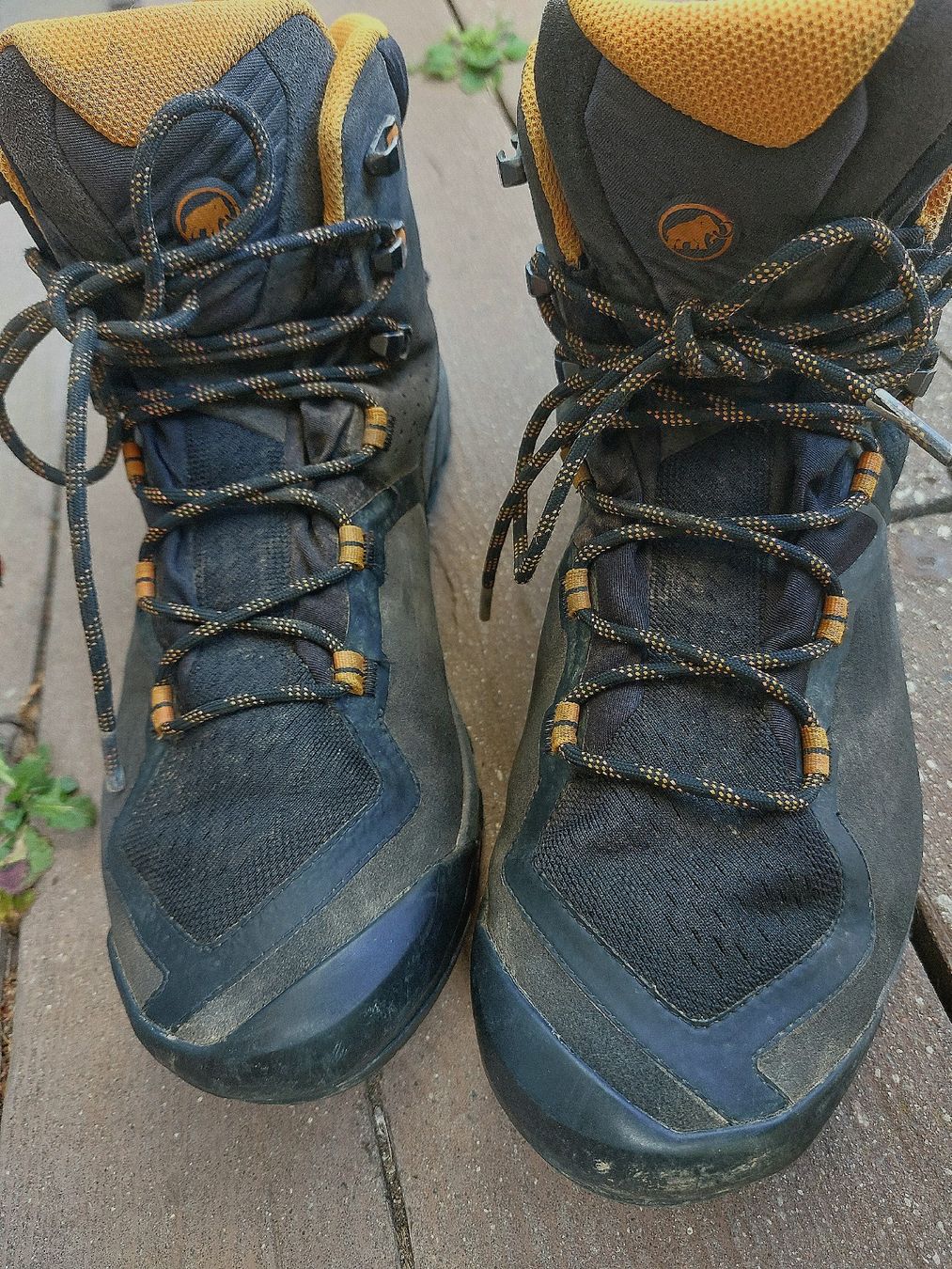 Mammut Scarpe da uomo: Mammut Herren Wanderschuhe Gr. 42 2/3 – Usato da Effretikon venduto da swobdo 4