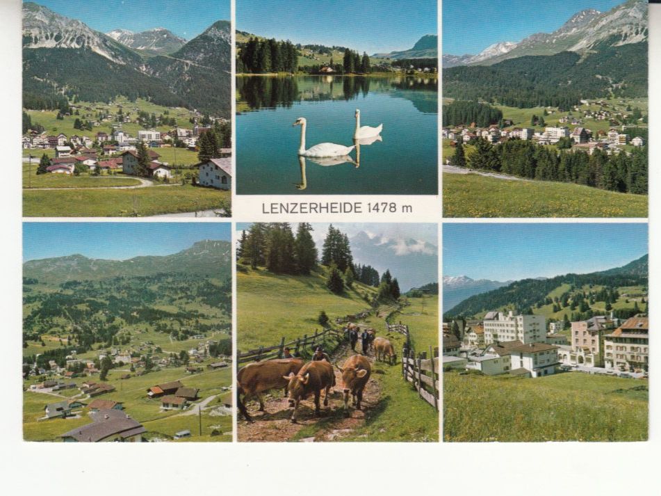 Cartoline postali: Lenzerheide ca. 1970 – Usato da Bürglen TG venduto da StampGraf