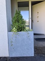 Blumentopf, Pflanzkübel, Sichtschutz - grau