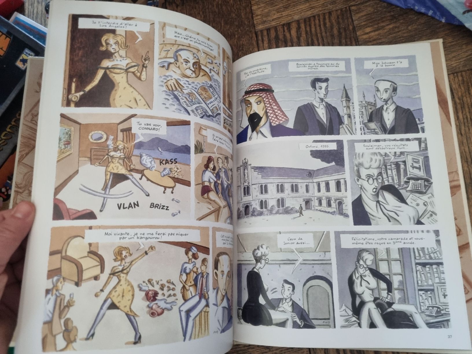 Fumetti: Rester Normal, Frédéric Beigbeder, BD Édition 2002! – Usato da Fribourg venduto da sal_5ln6 9