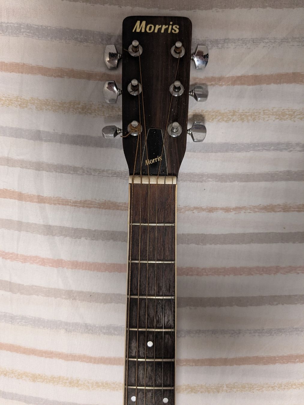 Vintage Strumenti musicali: Gitarre Morris W604 – Nuovo (secondo la descrizione) da Steffisburg venduto da dik_8w5b 1