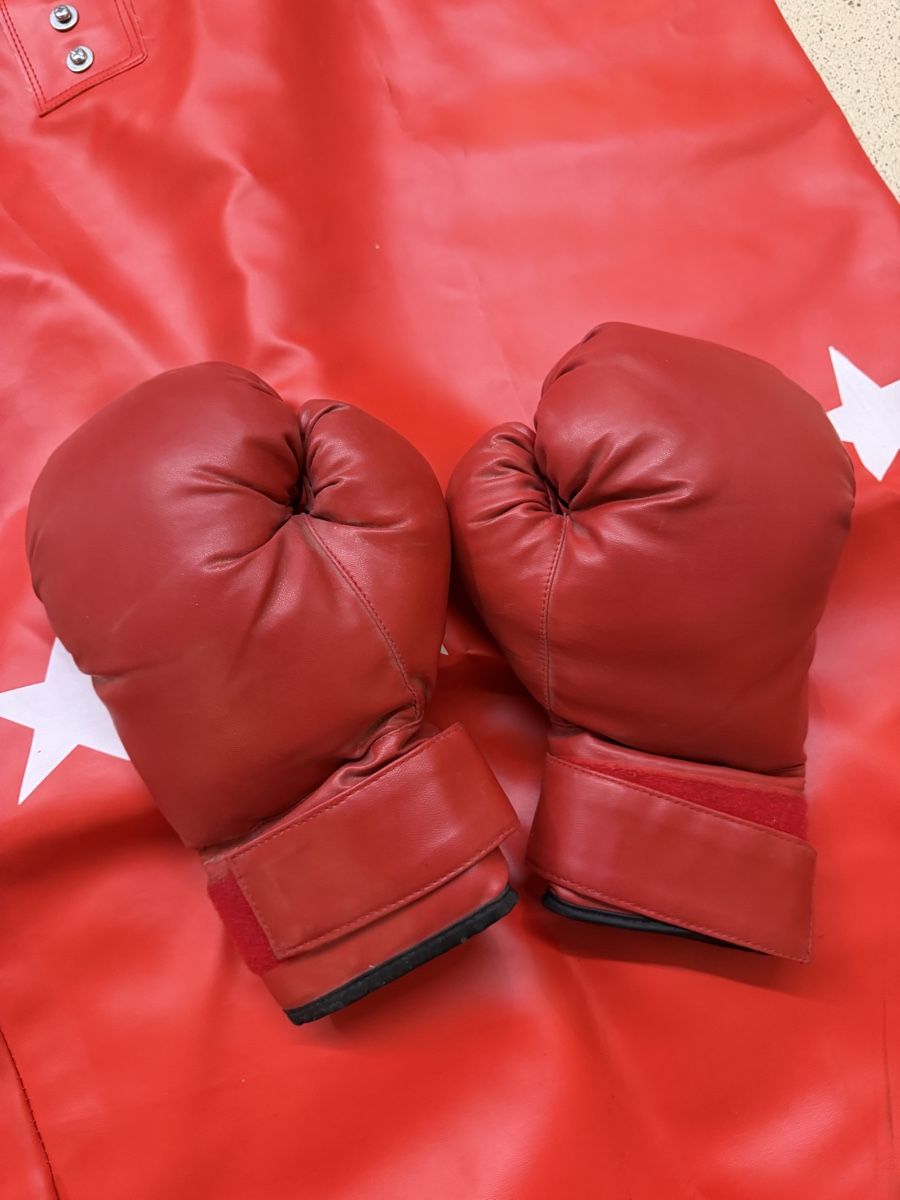 Sacchi da boxe: Neuer Boxsack und Boxhandschuhe – Nuovo (secondo la descrizione) da Basel venduto da Bahador 2