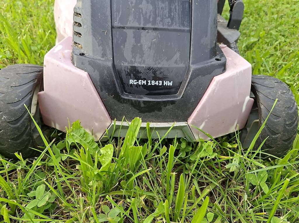 Tondeuses à gazon: Elektrischer Rasenmäher – D'occasion à Walchwil par Corani 3