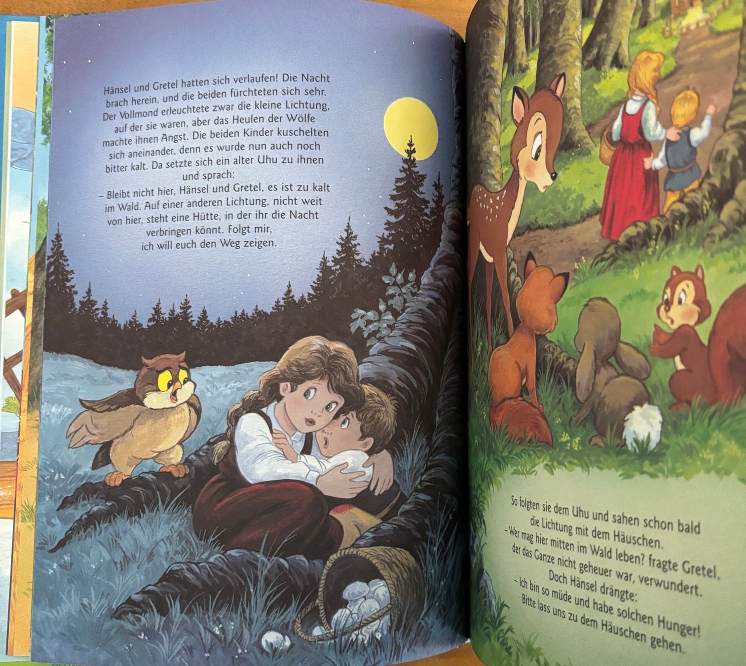 Libri: Meine liebsten Märchen – Nuovo (secondo la descrizione) da Sarnen venduto da Livres 3