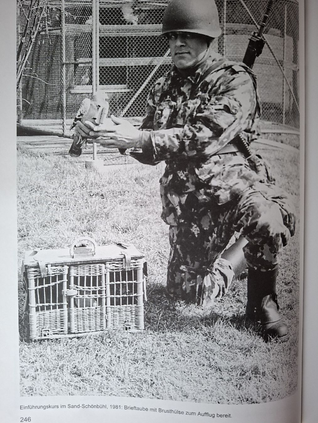Libri: Schweizer Armee Militär,  Brieftauben Buch – Usato da Schwanden Sigrisw venduto da len_9yqg 9
