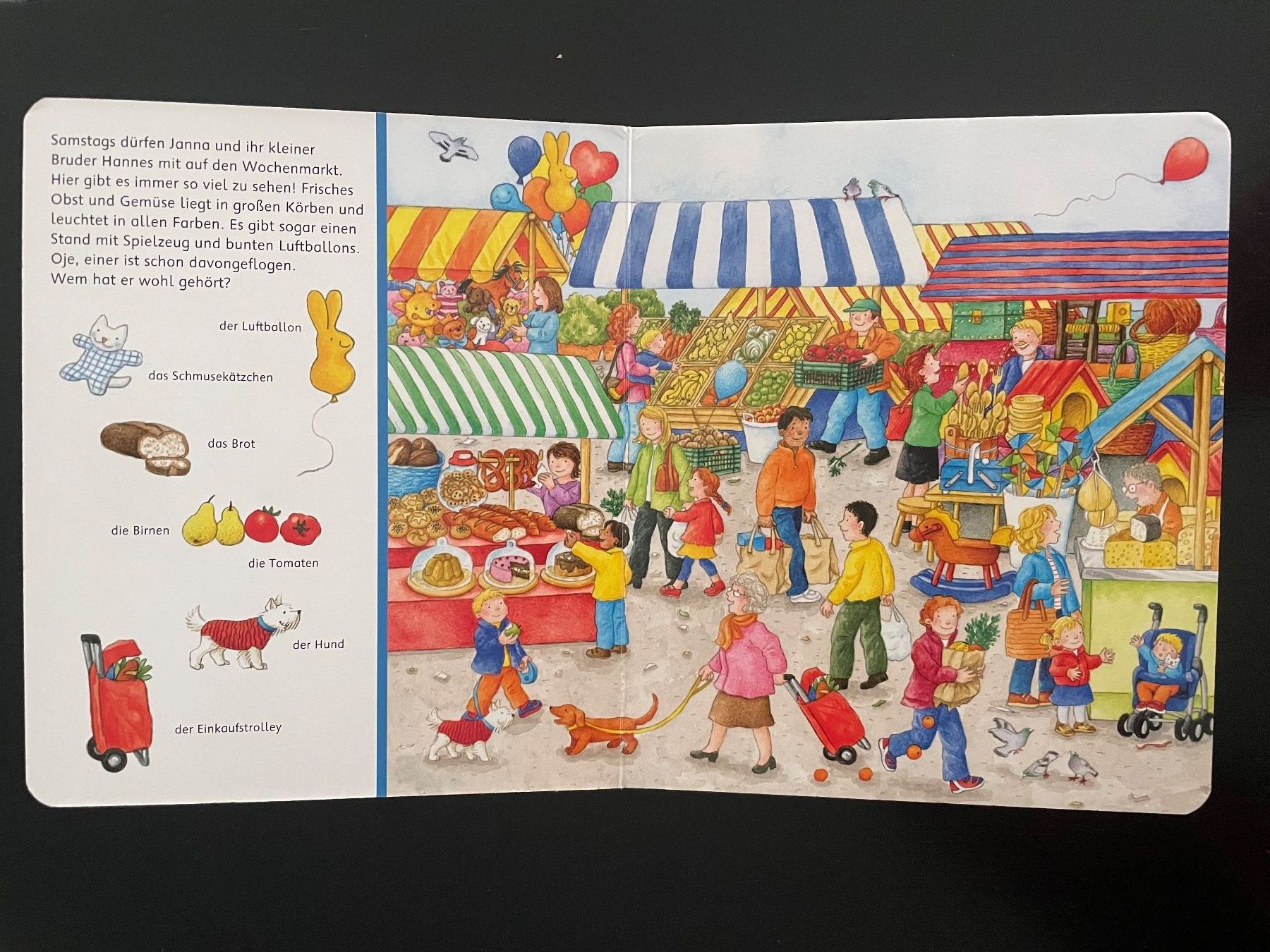 Libri: Sachen suchen -  Wimmelbilder – Usato da Aarau Rohr venduto da Rokazo 2