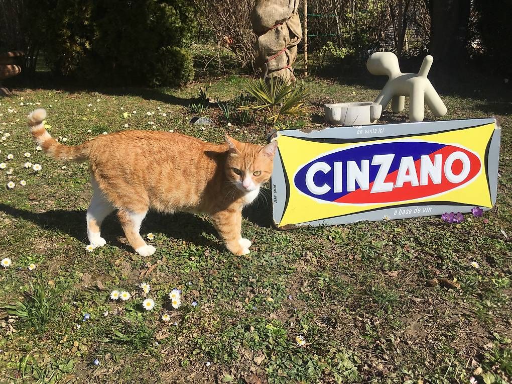 Cinzano Insegne: Emailschild / plaque émaillée CINZANO – Usato da Coppet venduto da squ_wy2d 4