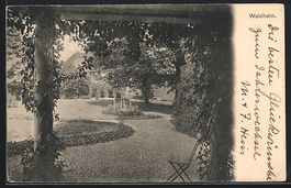 AK Bern, Restaurant Waldheim, Park, 1904