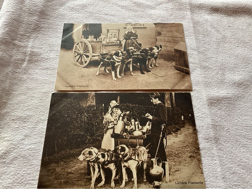 Petits métiers - Belgique Bruxelles laitière flamande CPA