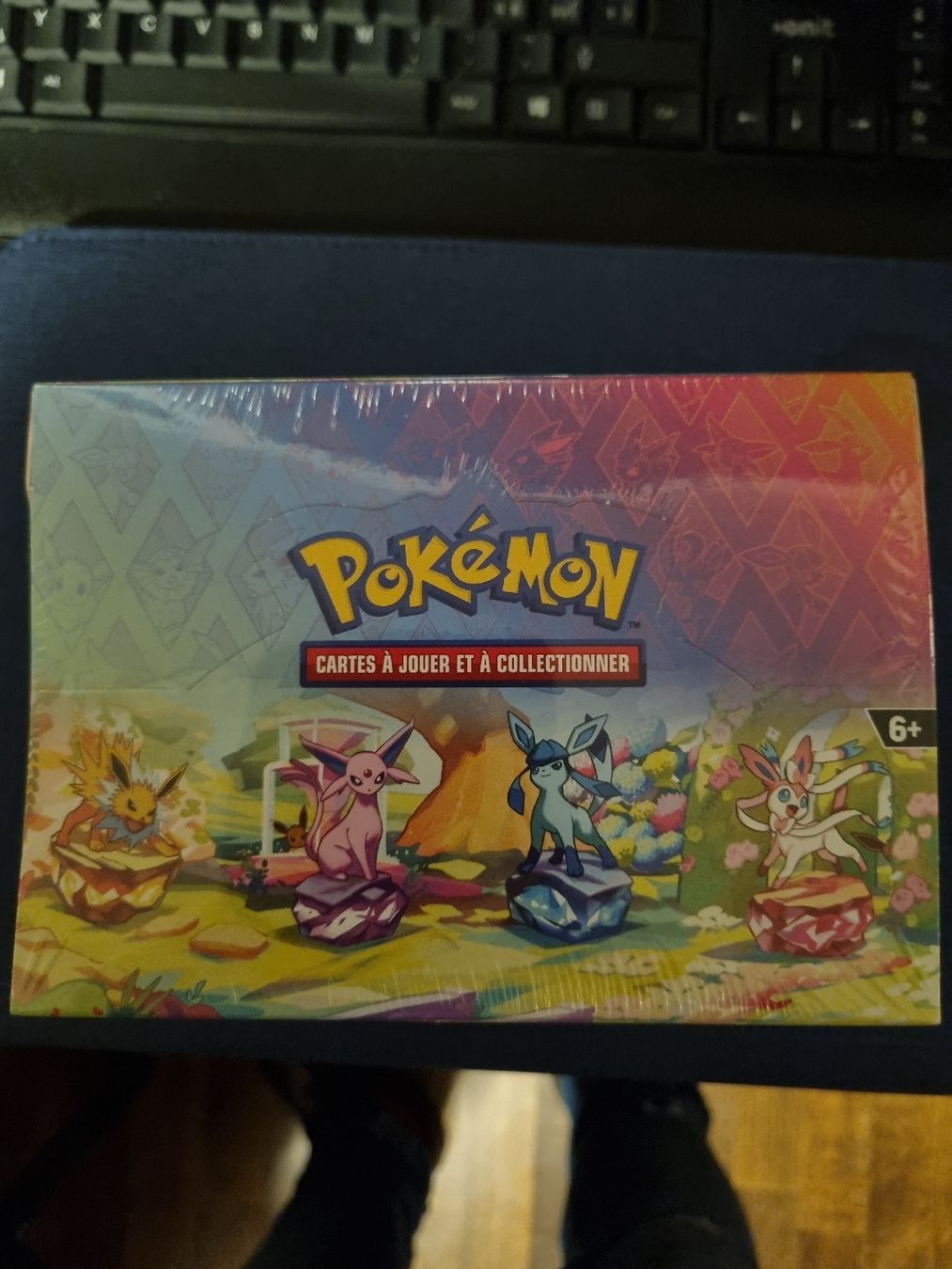 Pokémon Sammelbilder & Trading cards: Evolutions Prismatique Minitin Display  FR Pokemon TCG – Neu und originalverpackt aus Goldau von seimen32