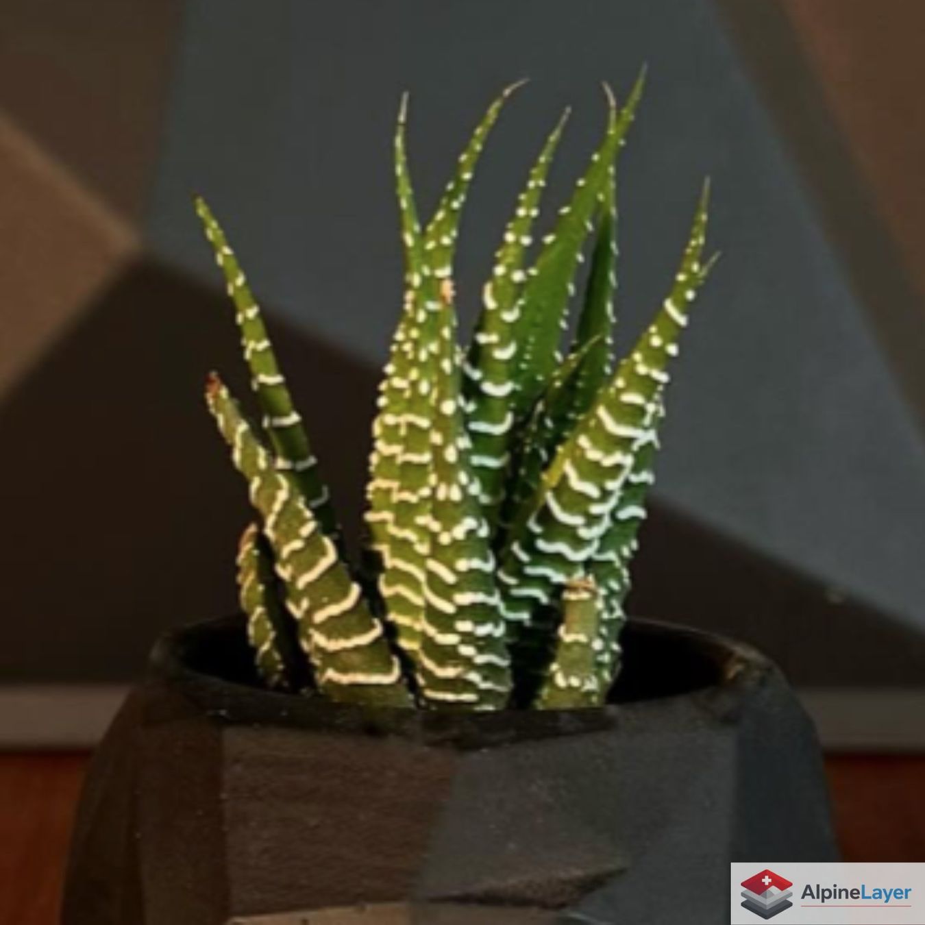 Vasi & Recipienti: Low Poly Skull Vase 3D Printed Black Gothic Decor – Nuovo (secondo la descrizione) da Losone venduto da AlpineLayer 1