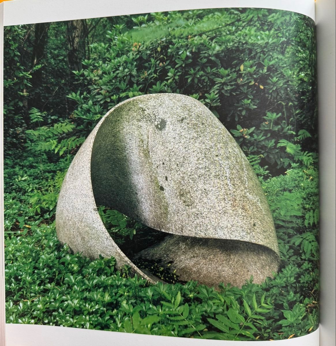 Bücher: Max Bill: unendliche Schleife 1935 - 95 und die einflächner. – Gebraucht aus Adliswil von buch_und_kunst 5