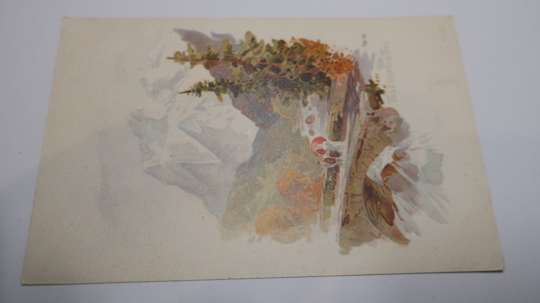 Cartoline postali: Wetterhorn N°50 – Usato da Cormoret venduto da Pascalll2001 1
