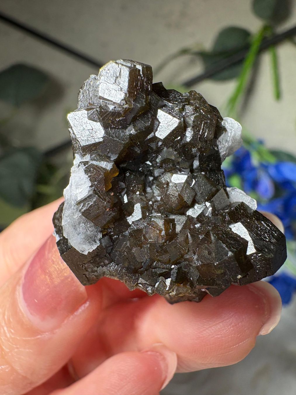Minerali & Pietre curative: Grüner Granat mit Quarz – Nuovo (secondo la descrizione) da Neuheim venduto da m.hald 3