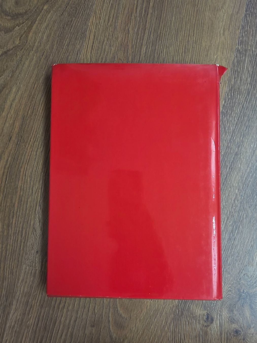 Libri: Buch "Protest Aufstand Revolution" von Mary Charlesworth – Usato da Nebikon venduto da Japostyle 3