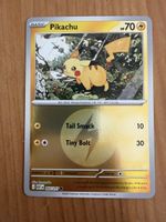 Pikachu (ASC055)