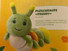 Frühlingsraupe /Plüschraupe *Freddy*