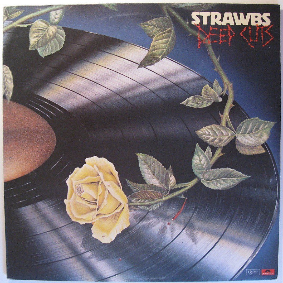 Dischi in vinile: STRAWBS "Deep Cuts" LP, COVER & LABELS IN NEAR MINT TOP!!! – Usato da Monthey venduto da Pingmub 1