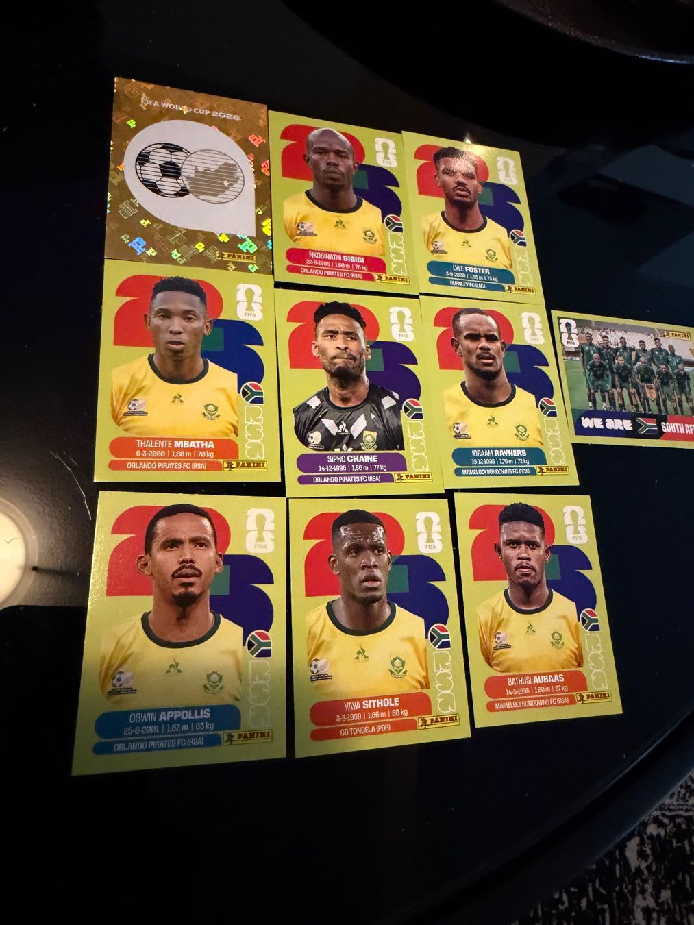 Panini Cartes à collectionner: Panini World Cup Stickers RSA 10Stk – D'occasion à Wettingen par NickInc