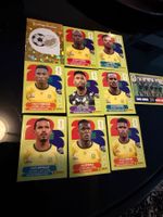 Panini World Cup Stickers RSA 10Stk