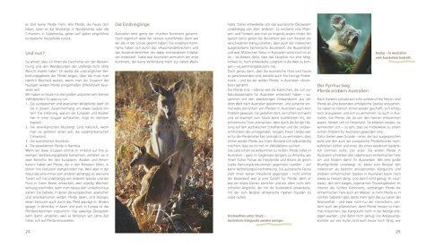 Libri: Wilde Pferde - Leben in Freiheit – Nuovo (secondo la descrizione) da Sarnen venduto da Livres 2