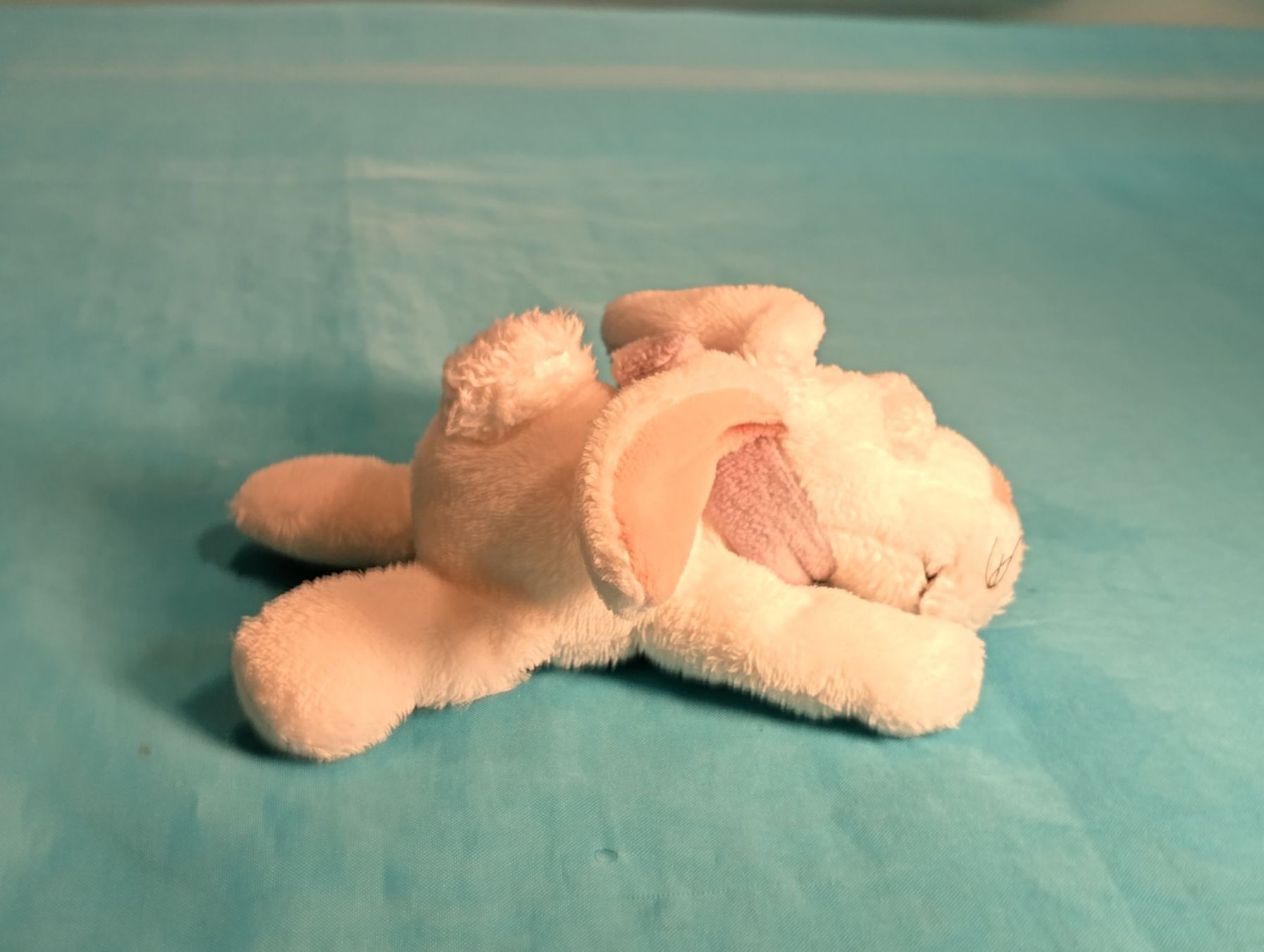 Nici Calamite: NICI Hase, Magnet, L: 12cm – Usato da Bellach venduto da JingleCherry 1