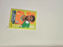 Panini WM 26 - CIV 15