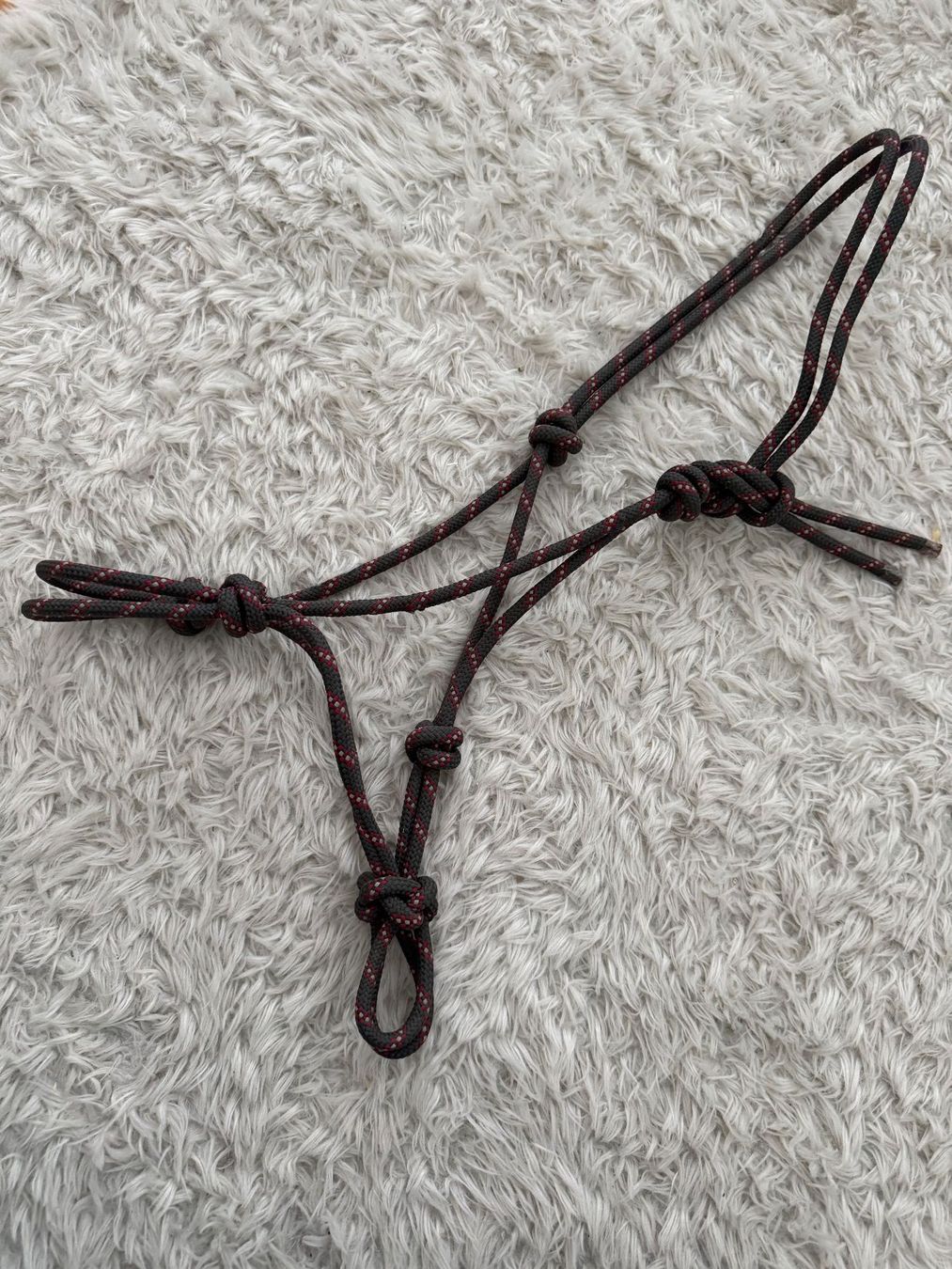 Brides, licols: Knotenhalfter Vollblut – Neuf (Voir description) à Au SG par evi_86w5